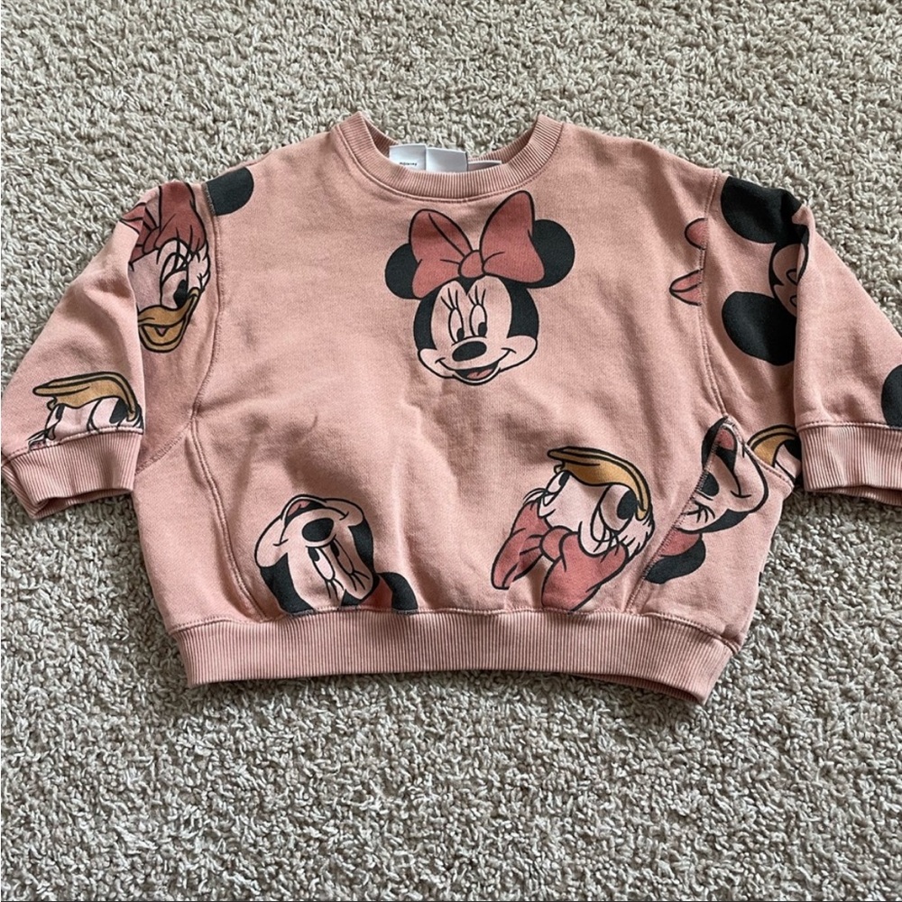 Zara 4/5 T sweatshirt.